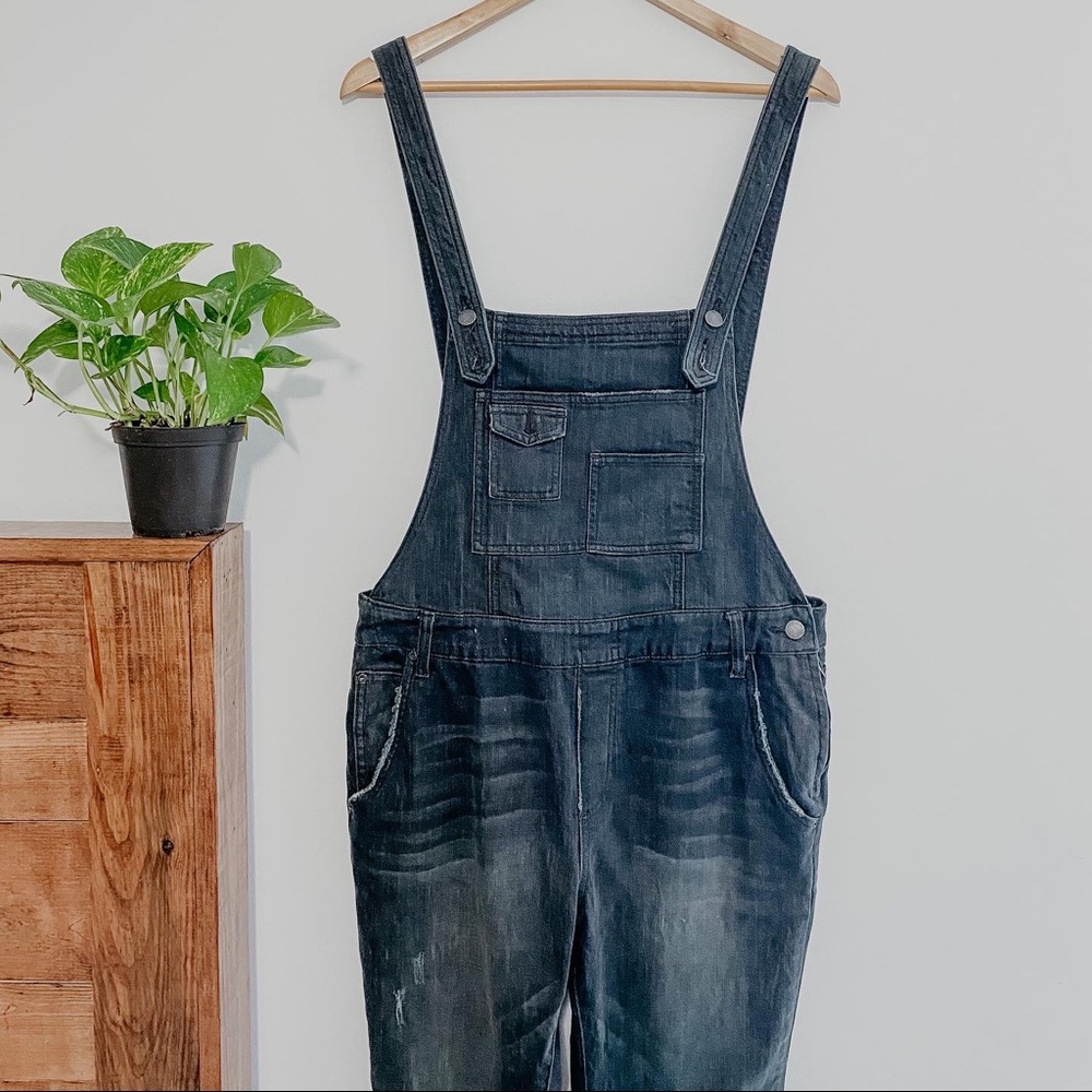Free people overalls